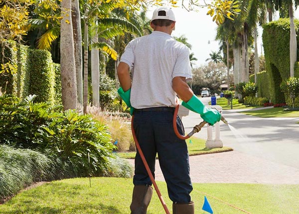 About Pelham AL Pest Control Pros